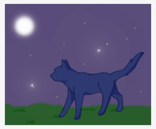 You Are Not Logged In - Warriors