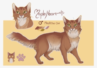 Warrior Cats Babies Png Jpg Transparent Stock - Infant