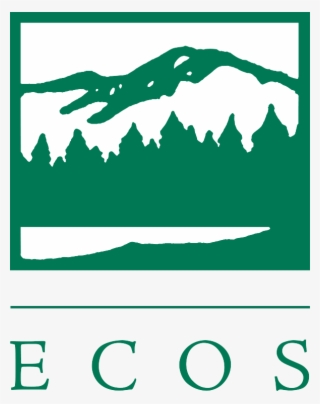The Environmental Council Of The States - Environmental Council Of The States