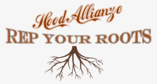 You're From Where - Tree Roots