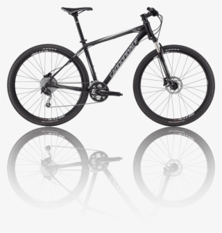Cannondale 29er - Cannondale Trail Sl 2 2011
