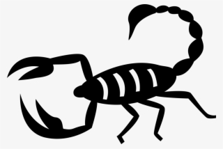 Vector Illustration Of Predatory Arachnid Scorpion - Stir Kreslený