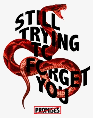 Pop-up Window Image - Broken Promises Brand