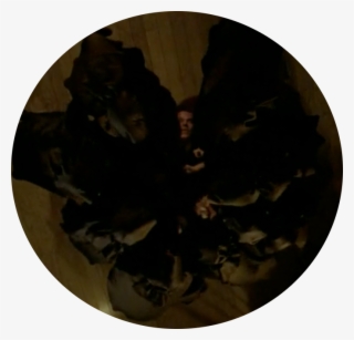 After The Opening Credits American Horror Story - Circle