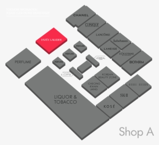 World Famous Cosmetics Brand Estee Lauder Was Founded