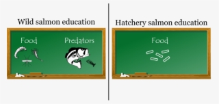 Education Pic - Education