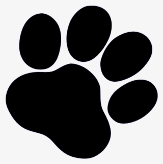 Double Paw Baby Blanket