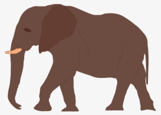 7 Ft - Indian Elephant