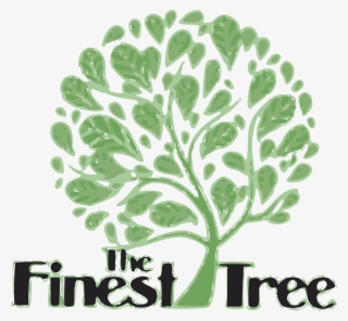 Open - Thrissur Wedding Card Shops