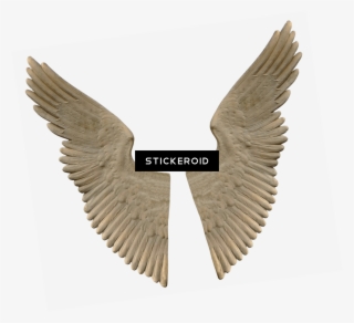 Stone Angel Wings