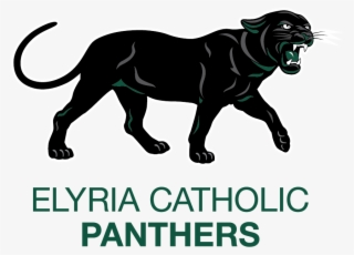 Panthers On The Prowl Join Us For Our First Home Game