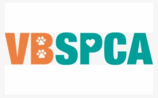 The Rainy Day Didn't Scare Anyone With Over 50 Pets - Paw