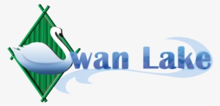 Go On A Slow Paced Boat Ride At The Swan Lake