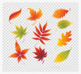 Colorful Leaves Clipart Stock Photography - Elementos De Accion De Gracias