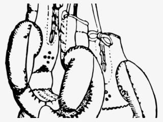 Boxing Gloves Clipart Sketch - Boxing Glove