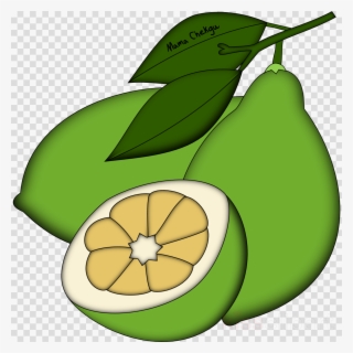 Leaf Clipart Pear Squash Avocado
