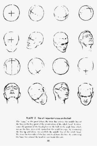 This Free Icons Png Design Of Andrew Loomis Drawing