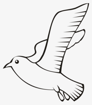 Feather Bird Beak Wing Flight - Outline Bird Png