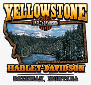 Harley Davidson Freedom Green Tin Sign