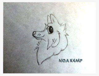 Mindful Drawing Wolf Picture Library Stock - Wolf