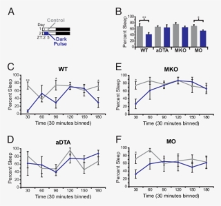 A Dark Pulse Induces Wakefulness Through Iprgcs A Diagram - Diagram