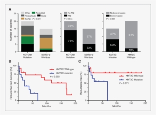 Mutation Status And Clinical Parameters - Mutation