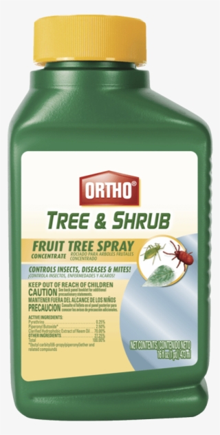1504733640 - Scotts Ortho Roundup Fruit Tree Spray, 3-in-1, 16-oz.