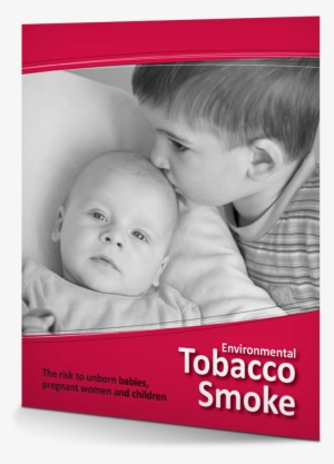 The Risk To Unborn Babies, Pregnant Women, And Children - Child