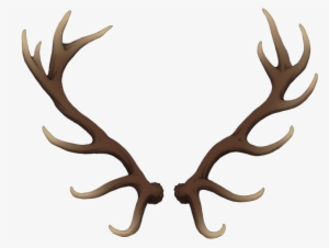 Reindeer Antlers Png Tumblr - Deer Antlers Png