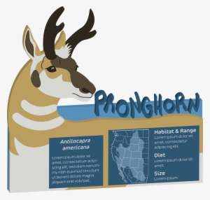 Pronghorn Final 3d 72