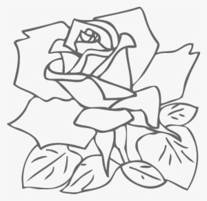 How To Set Use Outline Rose Clipart