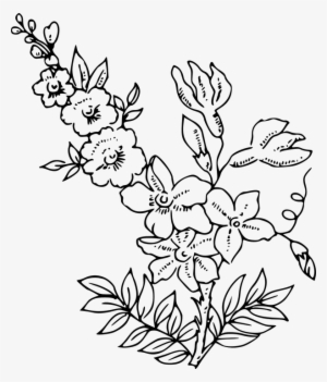Images Of Flower Drawings - White Flowers Outline Png