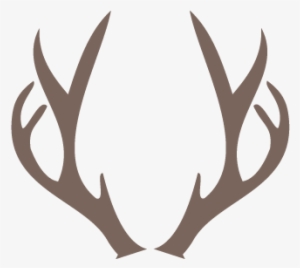 Deer Horn Png - Png Deer Antlers Png