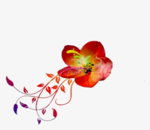 Hawaiian Flowers Png Images Vectors And Psd Files Free - Hawaii