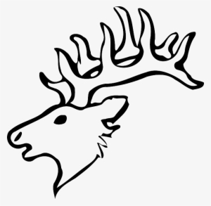 Reindeer, Head, Black And White, Horns, Animal, Mammal - Deer Drawing Face Easy