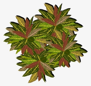 This Free Icons Png Design Of Tree-11a