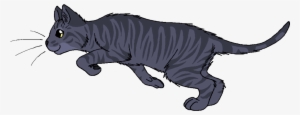 Stormcloud - Warrior Cats Sorrelstripe