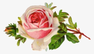 Free Vintage Rose Clip Art Free Pretty Things For You - Vintage Rose Clip Art