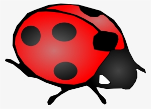 How To Set Use Lady Bug Clipart
