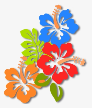 In That Case, It Was An Operator Of The Site - Hawaii