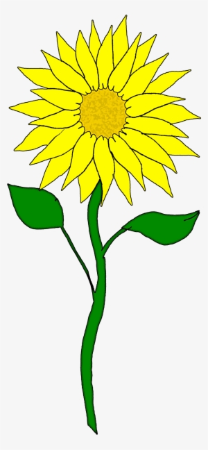 Hawaiian Flower Clip Art Clipart - Sunflower Clipart
