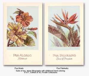 Suite Of Hawaiian Flowers - Hawaii