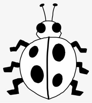 Ladybug 21 Black White Line Art Flower Scalable Vector - Bug Clipart Black And White