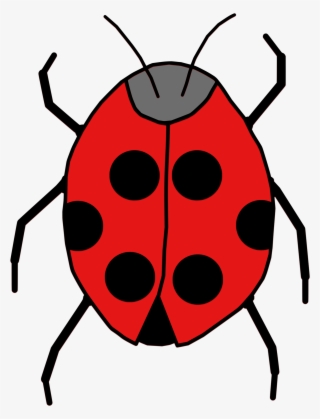 Animals Insect Cartoon Png