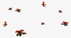 Real Flying Ladybug Png