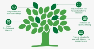 Rpg Is The Partner For Late-career Professionals - Tree Halal