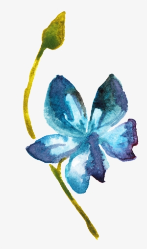 Floral Transparent Ornamental Material - Lily