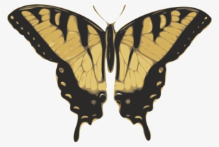 Free Vector Butterfly Top View Clip Art - Tiger Swallowtail Butterfly Png