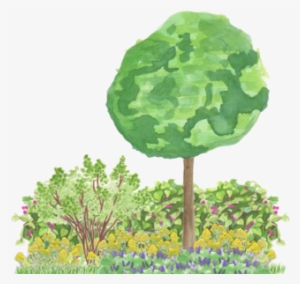 Using Predefined Template And Plant Patterns - Wild Cabbage