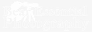 Bear Essential Photography - Logo Png Photographer Bear